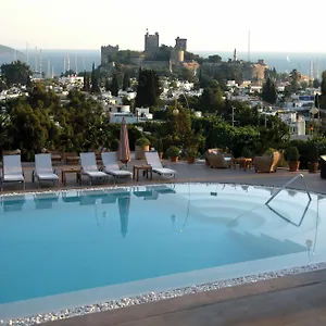 book here